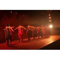 Prunksitzung_2020_0508 - Kopie.jpg